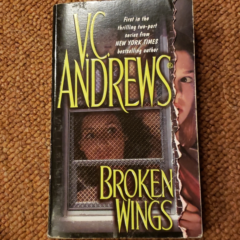 Broken Wings